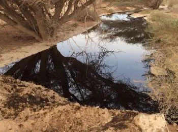 ТОРГУЕТ ЛИ СЫН ЭРДОГАНА НЕФТЬЮ «ИСЛАМСКОГО ГОСУДАРСТВА»? - Совершенно Секретно ТОРГУЕТ ЛИ СЫН ЭРДОГАНА НЕФТЬЮ «ИСЛАМСКОГО ГОСУДАРСТВА»? - Совершенно Секретно