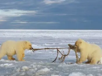 УКРАИНА МОЖЕТ ВЫЗВАТЬ ВОЙНУ ЗА АРКТИКУ - Совершенно Секретно УКРАИНА МОЖЕТ ВЫЗВАТЬ ВОЙНУ ЗА АРКТИКУ - Совершенно Секретно