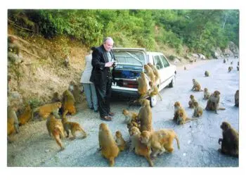 «Мир устроен вовсе не так, как вам кажется» - Совершенно Секретно «Мир устроен вовсе не так, как вам кажется» - Совершенно Секретно