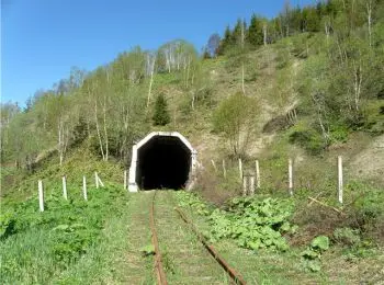 ДОЛБАТЬ-КОПАТЬ! - Совершенно Секретно ДОЛБАТЬ-КОПАТЬ! - Совершенно Секретно