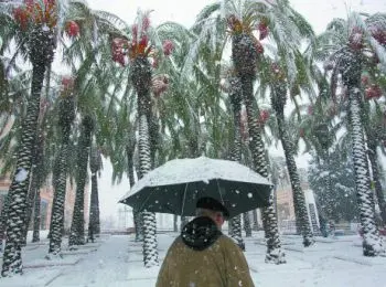 Великий климатический заговор - Совершенно Секретно Великий климатический заговор - Совершенно Секретно