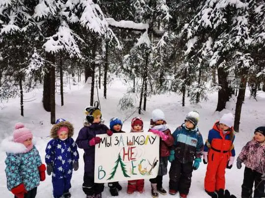 Начало конца. В Троицке идет «война» за лес - Совершенно Секретно Начало конца. В Троицке идет «война» за лес - Совершенно Секретно