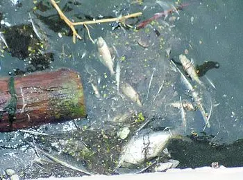 ОТМЕТКА «68» - Совершенно Секретно ОТМЕТКА «68» - Совершенно Секретно