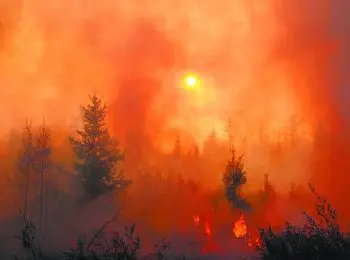 Экосистема планеты под угрозой - Совершенно Секретно Экосистема планеты под угрозой - Совершенно Секретно