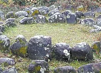 Святочный диссидент - Совершенно Секретно