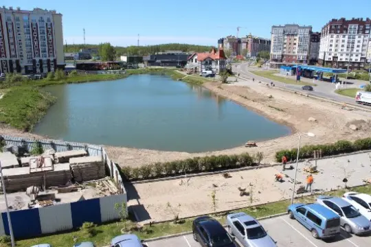 О бедной лягушке замолвите слово - Совершенно Секретно О бедной лягушке замолвите слово - Совершенно Секретно