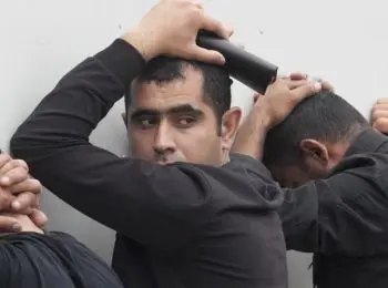 НЕЭТНИЧНОЕ ПОВЕДЕНИЕ - Совершенно Секретно