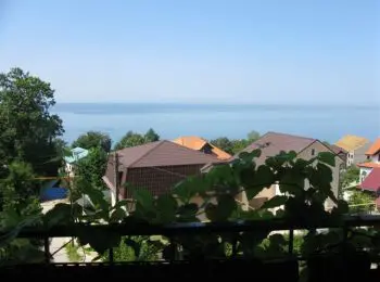 ЧИСТО СОЧИНСКОЕ МОШЕННИЧЕСТВО - Совершенно Секретно ЧИСТО СОЧИНСКОЕ МОШЕННИЧЕСТВО - Совершенно Секретно