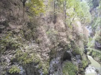 «Зеленое руно» - Совершенно Секретно