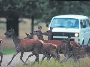 СОХАТАЯ СМЕРТЬ - Совершенно Секретно СОХАТАЯ СМЕРТЬ - Совершенно Секретно