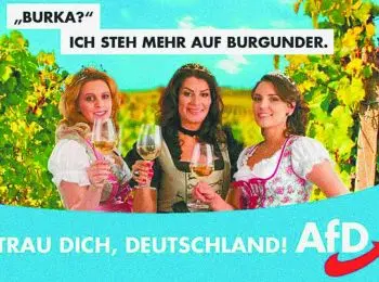 Дымоход для немцев - Совершенно Секретно Дымоход для немцев - Совершенно Секретно