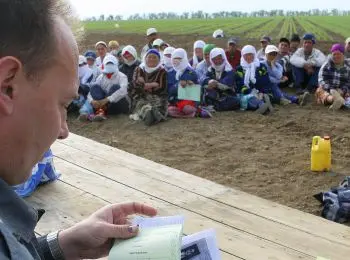 БЕЗ ПАШНИ - Совершенно Секретно БЕЗ ПАШНИ - Совершенно Секретно