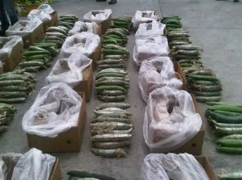 НАРКОБАРОН ИЗ СТУПИНА - Совершенно Секретно НАРКОБАРОН ИЗ СТУПИНА - Совершенно Секретно