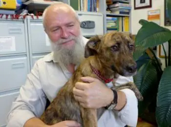 ФИЗИЧЕСКИЙ ПРОЦЕСС - Совершенно Секретно ФИЗИЧЕСКИЙ ПРОЦЕСС - Совершенно Секретно