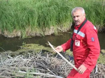 ОТ БОБРА ДОБРА НЕ ИЩУТ - Совершенно Секретно ОТ БОБРА ДОБРА НЕ ИЩУТ - Совершенно Секретно