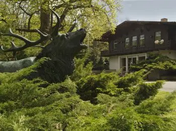 ТАЙНА АГЕНТА ЛЮЦИ - Совершенно Секретно ТАЙНА АГЕНТА ЛЮЦИ - Совершенно Секретно