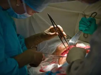 Новый закон о трансплантации: «да» или «нет»? - Совершенно Секретно Новый закон о трансплантации: «да» или «нет»? - Совершенно Секретно