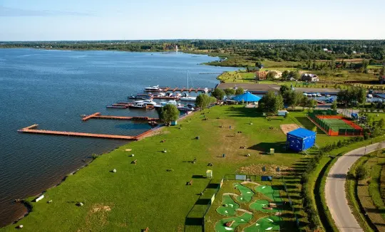 Обнуление арбитра - Совершенно Секретно Обнуление арбитра - Совершенно Секретно