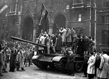 «Если будут ершиться, то набьём морду, и они утихнут» - Совершенно Секретно «Если будут ершиться, то набьём морду, и они утихнут» - Совершенно Секретно