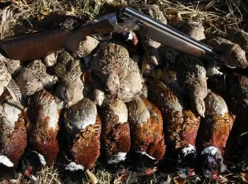 ЧИСЛО ЗВЕРЯ - Совершенно Секретно ЧИСЛО ЗВЕРЯ - Совершенно Секретно