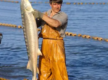 НА ДНЕ - Совершенно Секретно