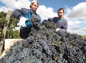 СКРЕПЫ ДУХОВНЫЕ И МАТЕРИАЛЬНЫЕ - Совершенно Секретно СКРЕПЫ ДУХОВНЫЕ И МАТЕРИАЛЬНЫЕ - Совершенно Секретно