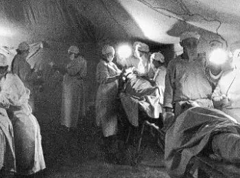 Торжество плесени - Совершенно Секретно Торжество плесени - Совершенно Секретно