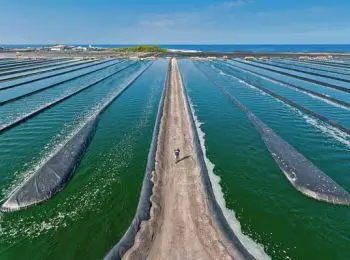ПАСТИ РЯДОВОГО РАЙАНА - Совершенно Секретно ПАСТИ РЯДОВОГО РАЙАНА - Совершенно Секретно