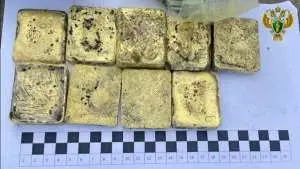 Жителя Забайкалья осудили за контрабанду драгметаллов на 425 млн рублей Жителя Забайкалья осудили за контрабанду драгметаллов на 425 млн рублей