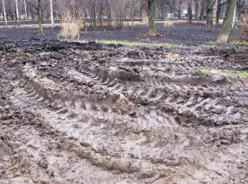 Борьба за «Березовую рощу» продолжается - Совершенно Секретно