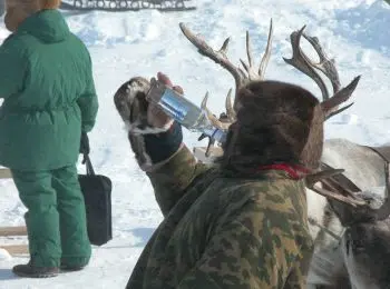 ТО НЕНЦУ СМЕРТЬ - Совершенно Секретно ТО НЕНЦУ СМЕРТЬ - Совершенно Секретно