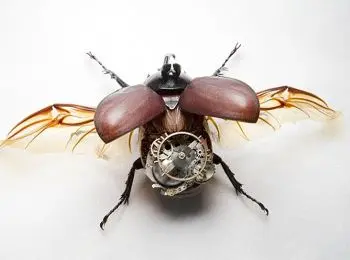 РОЖДЕННЫЕ ЭВОЛЮЦИЕЙ - Совершенно Секретно РОЖДЕННЫЕ ЭВОЛЮЦИЕЙ - Совершенно Секретно