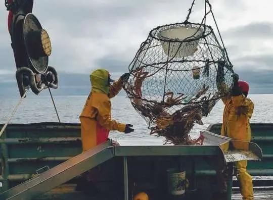 Ползком за крабом - Совершенно Секретно Ползком за крабом - Совершенно Секретно