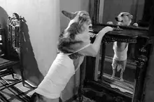 Собачье сердце и другие эксперименты - Совершенно Секретно Собачье сердце и другие эксперименты - Совершенно Секретно