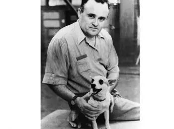 Космические дворняги - Совершенно Секретно