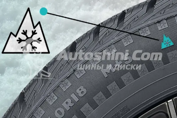 3pmsf-ms.jpg 3pmsf-ms.jpg