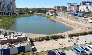 О бедной лягушке замолвите слово О бедной лягушке замолвите слово