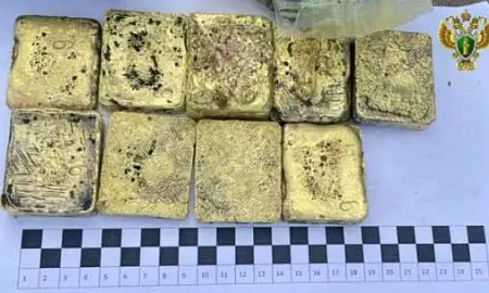 Жителя Забайкалья осудили за контрабанду драгметаллов на 425 млн рублей Жителя Забайкалья осудили за контрабанду драгметаллов на 425 млн рублей