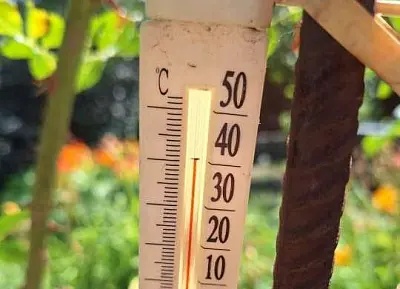 жители ростовской области несколько суток сидят в жару без воды и просят ввести режим чс - Сайт Газеты «Совершенно Секретно» жители ростовской области несколько суток сидят в жару без воды и просят ввести режим чс - Сайт Газеты «Совершенно Секретно»