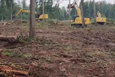 жители сразу нескольких округов подмосковья обвинили местные власти в варварском отношении к природоохранным зонам - Сайт Газеты «Совершенно Секретно» жители сразу нескольких округов подмосковья обвинили местные власти в варварском отношении к природоохранным зонам - Сайт Газеты «Совершенно Секретно»