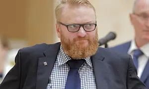 Депутат Милонов считает, что ООН должна отреагировать на преступления боевиков ПНС в Ливии