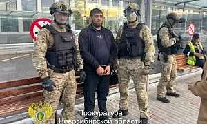 Водителя самосвала, наехавшего на людей в Новосибирске, поймали в Казахстане и экстрадируют в РФ Водителя самосвала, наехавшего на людей в Новосибирске, поймали в Казахстане и экстрадируют в РФ