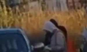 Двое подростков задержаны за попытку отравления военного в Новосибирской области Двое подростков задержаны за попытку отравления военного в Новосибирской области