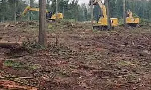 Жители сразу нескольких округов Подмосковья обвинили местные власти в варварском отношении к природоохранным зонам Жители сразу нескольких округов Подмосковья обвинили местные власти в варварском отношении к природоохранным зонам