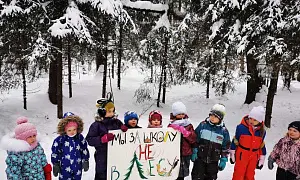 Начало конца. В Троицке идет «война» за лес Начало конца. В Троицке идет «война» за лес