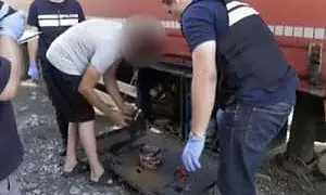 Ввезенную в Грузию взрывчатку водителю передали сотрудники СБУ на Украине Ввезенную в Грузию взрывчатку водителю передали сотрудники СБУ на Украине