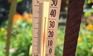 Жители Ростовской области несколько суток сидят в жару без воды и просят ввести режим ЧС