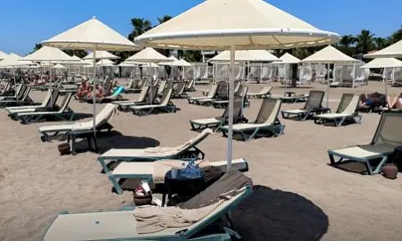 В Турции туристы пожаловались на вирус, вызывающий сепсис. Что ответил Минздрав? В Турции туристы пожаловались на вирус, вызывающий сепсис. Что ответил Минздрав?