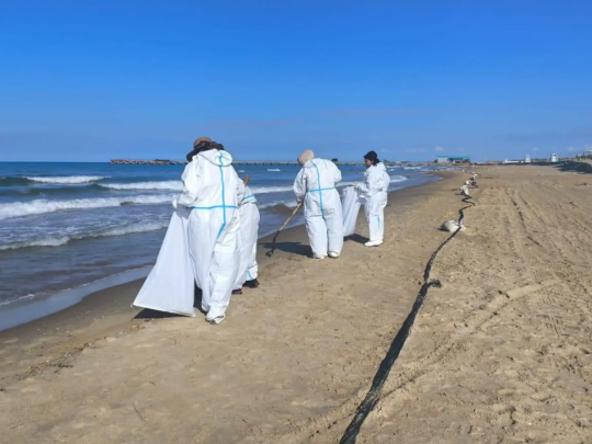 КУРОРТНЫЙ СЕЗОН В МАЗУТЕ  - Совершенно Секретно КУРОРТНЫЙ СЕЗОН В МАЗУТЕ  - Совершенно Секретно