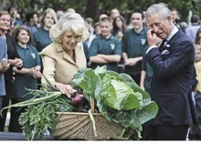 ПРИНЦ НА ГРЯДКЕ ПРИНЦ НА ГРЯДКЕ